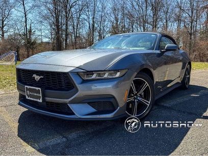 Used 2024 Ford Mustang Premium