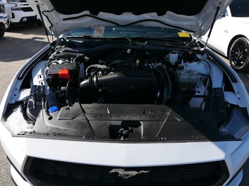 Used 2024 Ford Mustang Premium image 24