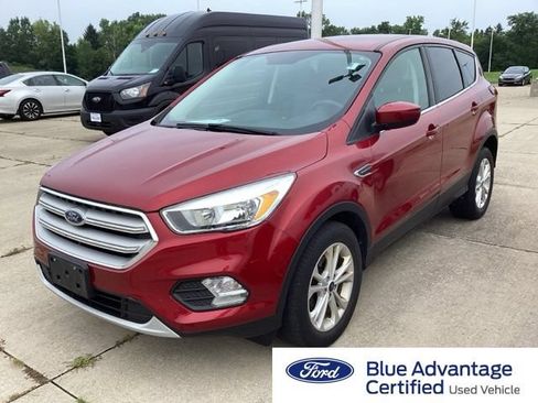 Used 2019 Ford Escape SE FWD image 1