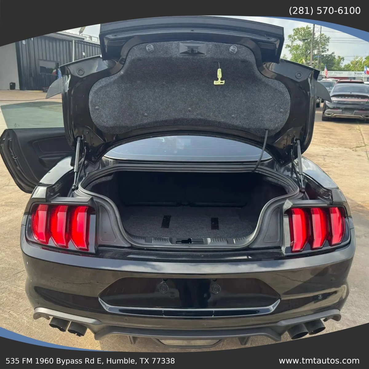 Used 2020 Ford Mustang GT w/ Equipment Group 301A RWD image 19