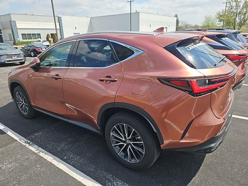 Used 2025 Lexus NX 350h AWD w/ Accessory Package (2T) image 4