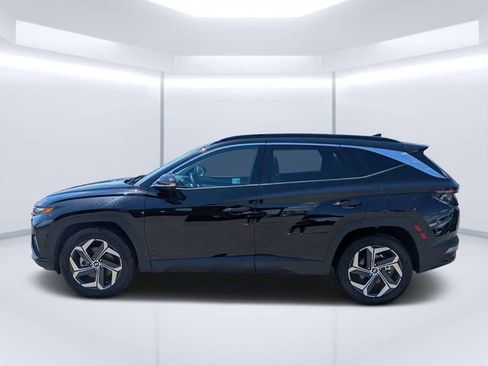 Used 2024 Hyundai Tucson Limited AWD/4WD image 6
