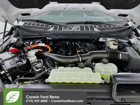 New 2025 Ford F150 XLT w/ Equipment Group 303A High image 32