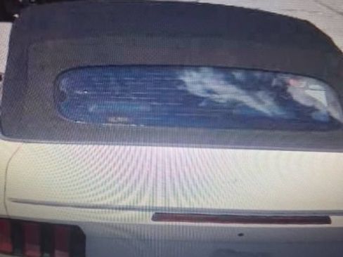 Used 2024 Ford Mustang Premium RWD image 7