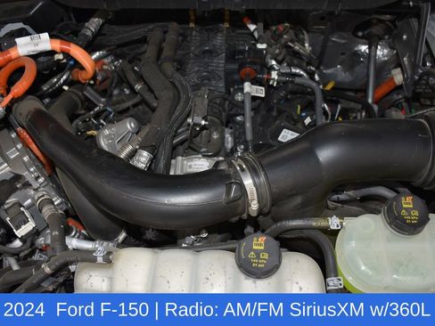 Used 2024 Ford F150 XLT w/ Equipment Group 302A MID image 7