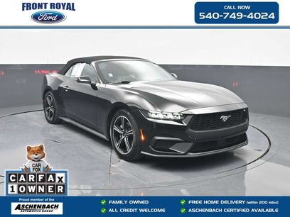 Used 2025 Ford Mustang Premium