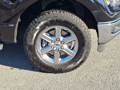 Used 2025 Ford F150 XLT w/ Equipment Group 301A Standard image 8