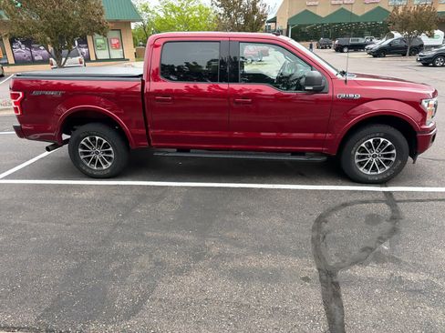 Used 2019 Ford F150 XLT w/ Equipment Group 302A Luxury AWD/4WD image 3