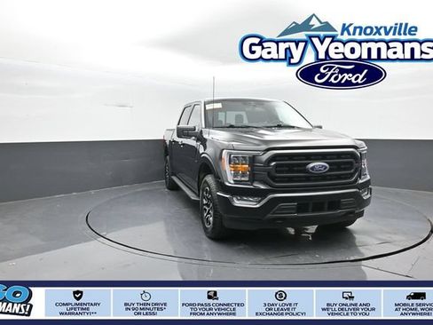 Used 2023 Ford F150 XLT w/ Equipment Group 302A High AWD/4WD image 1