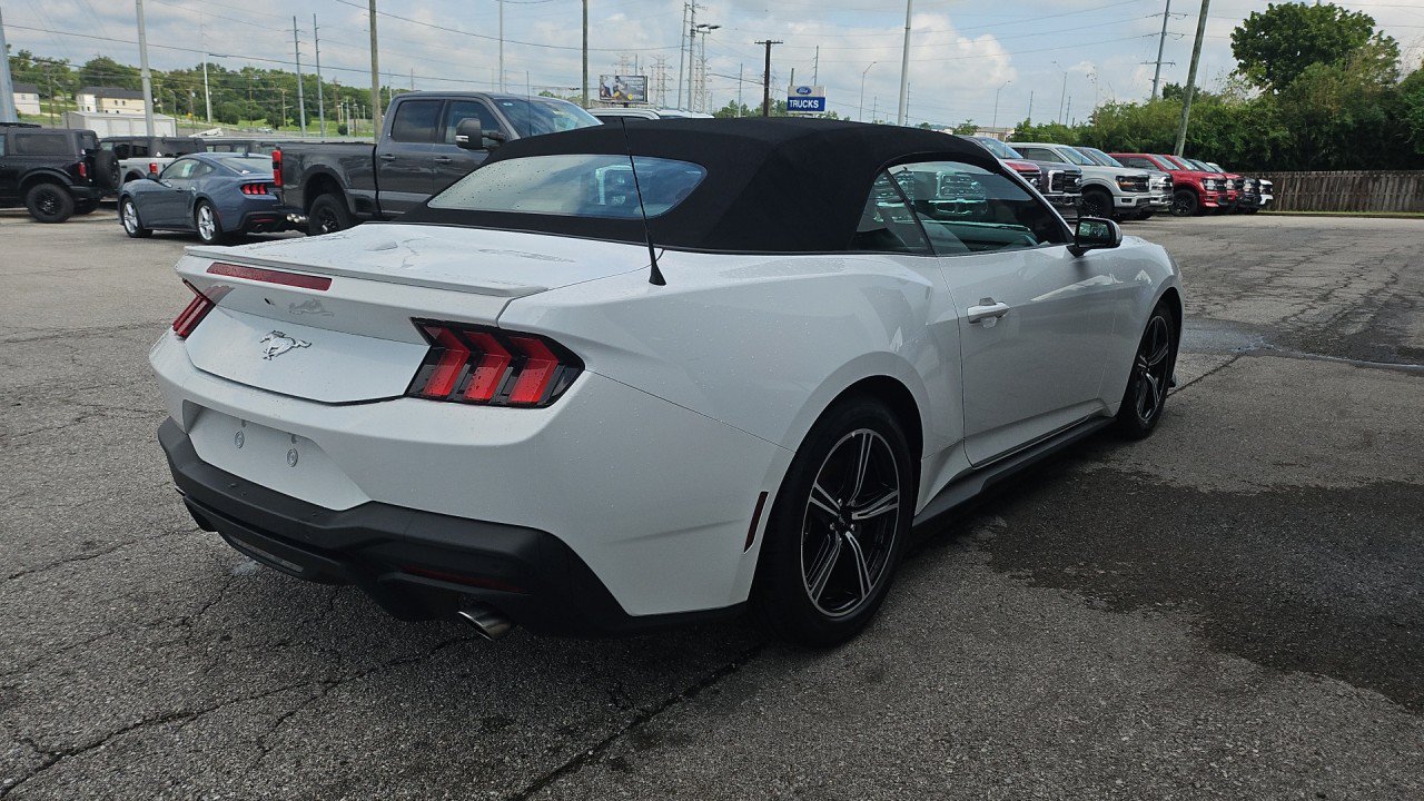 Used 2024 Ford Mustang Premium RWD image 6