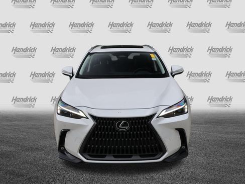 Used 2024 Lexus NX 350h AWD image 3