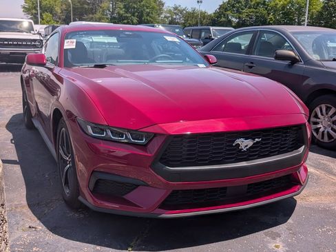 Used 2025 Ford Mustang Coupe RWD image 5