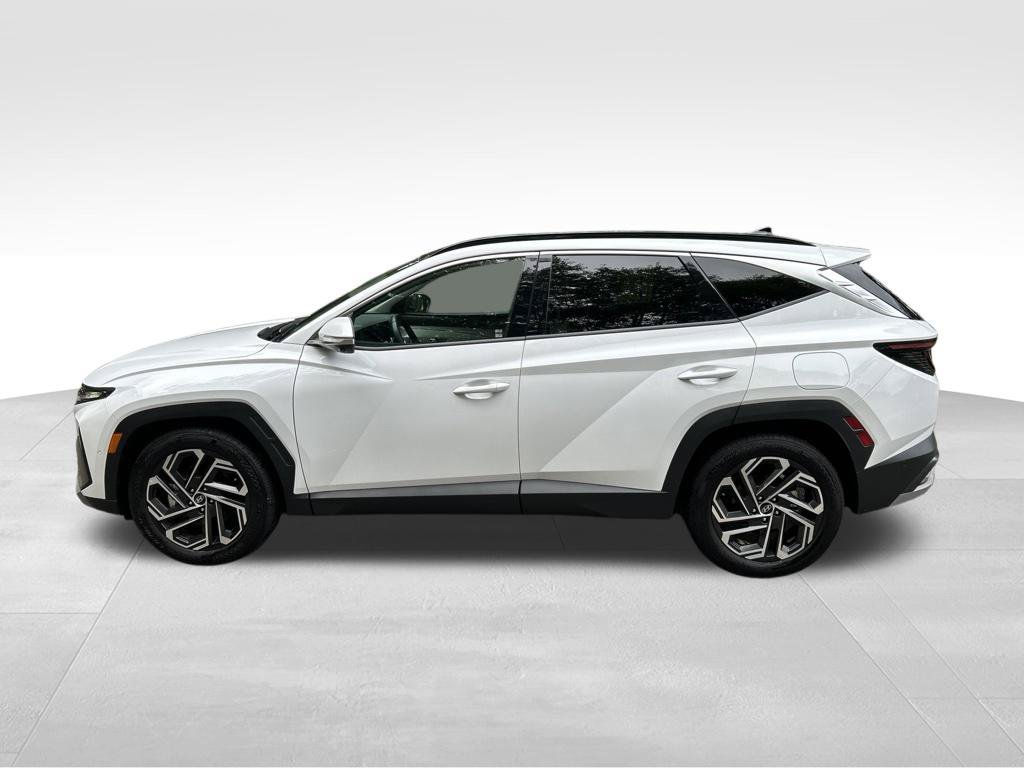 Used 2025 Hyundai Tucson Limited FWD image 2
