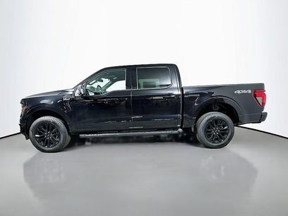 New 2026 Ford F150 XLT w/ Equipment Group 303A High