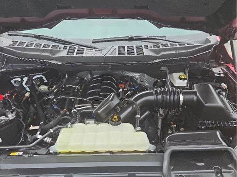 Used 2025 Ford F150 XLT w/ Equipment Group 303A High AWD/4WD image 7