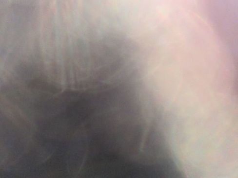 New 2026 Subaru Forester Wilderness image 40