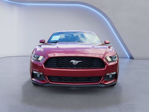 Used 2015 Ford Mustang Premium w/ Equipment Group 201A RWD image 8