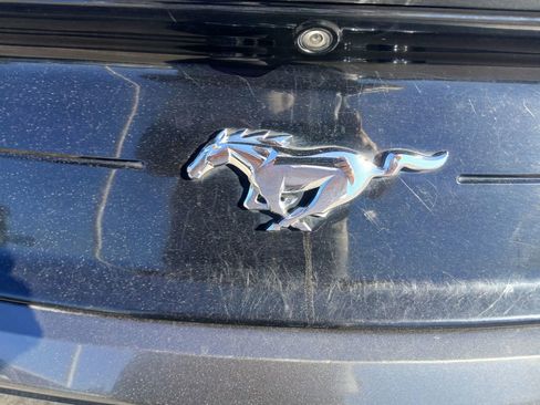 Used 2018 Ford Mustang Premium w/ Equipment Group 201A RWD image 15