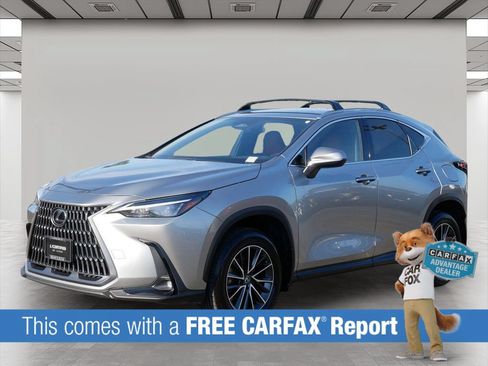 Certified 2024 Lexus NX 350h AWD w/ Cold Area Package image 2