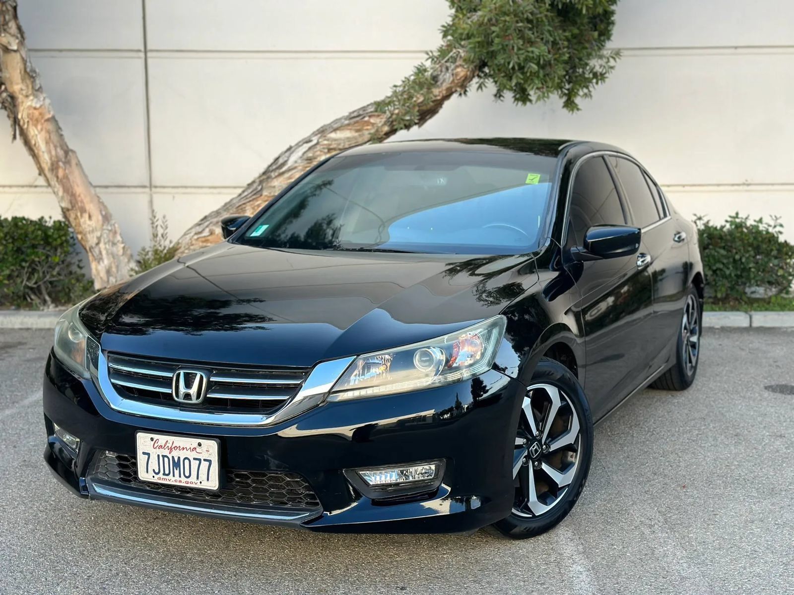 Used 2015 Honda Accord Sport image 1