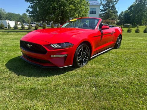 Used 2019 Ford Mustang Premium RWD image 7