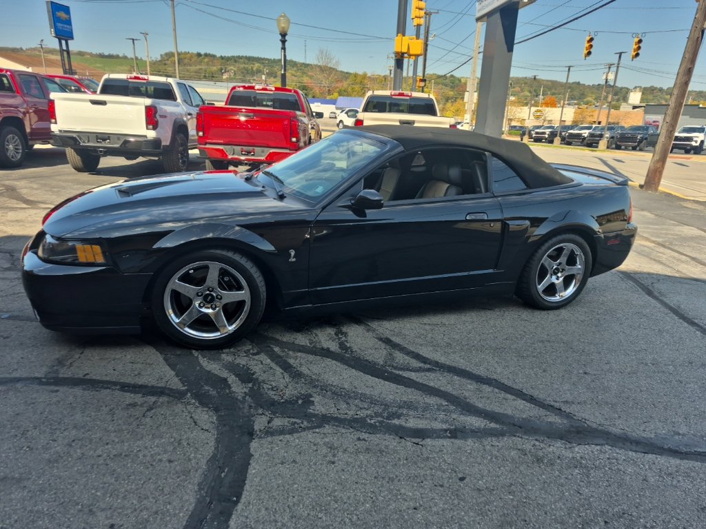 Used 2003 Ford Mustang Cobra RWD image 4