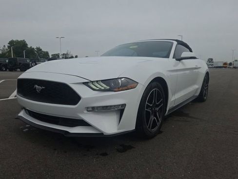 Used 2019 Ford Mustang Premium RWD image 3