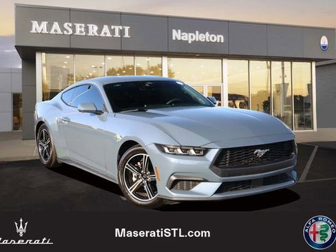 Used 2024 Ford Mustang Coupe image 1