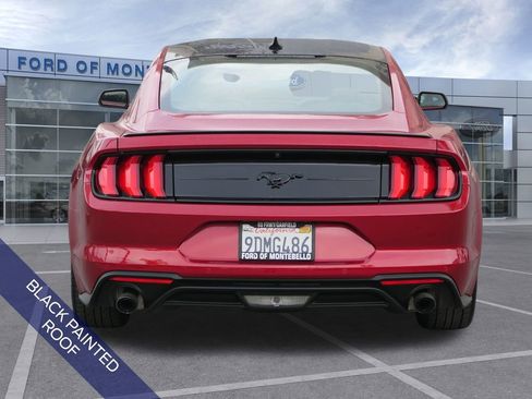 Used 2022 Ford Mustang Coupe w/ Equipment Group 101A image 6