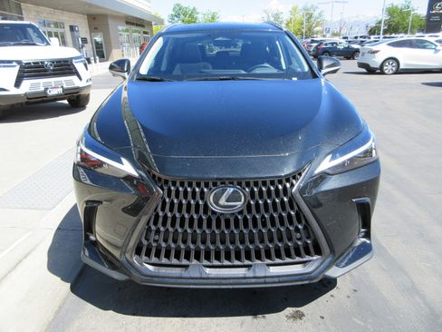 Used 2025 Lexus NX 350h AWD w/ Accessory Package (2T) image 14