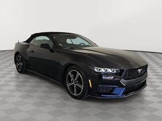 Used 2025 Ford Mustang Premium RWD video 2