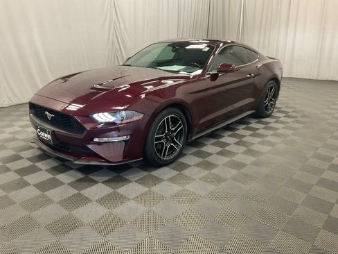 Used 2018 Ford Mustang Premium w/ Equipment Group 201A RWD image 5