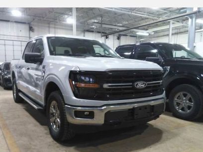 Used 2025 Ford F150 XLT w/ Equipment Group 301A Standard