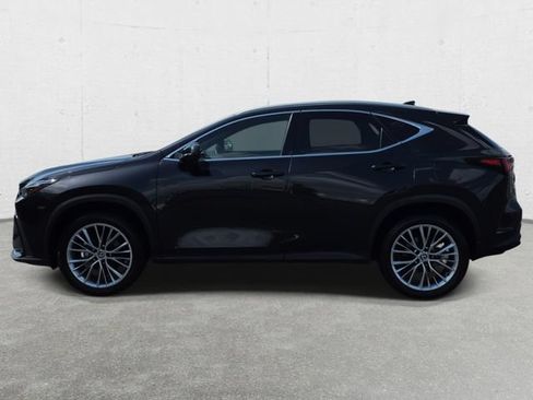Certified 2025 Lexus NX 350h AWD w/ Cold Area Package image 8