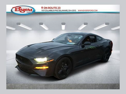 Used 2023 Ford Mustang EcoBoost w/ Equipment Group 101A image 1