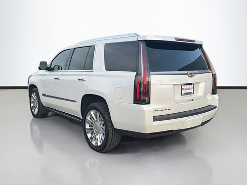 Used 2019 Cadillac Escalade Platinum image 5