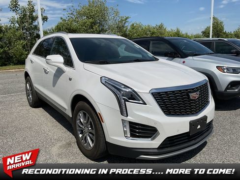 Used 2023 Cadillac XT5 Premium Luxury AWD/4WD image 1