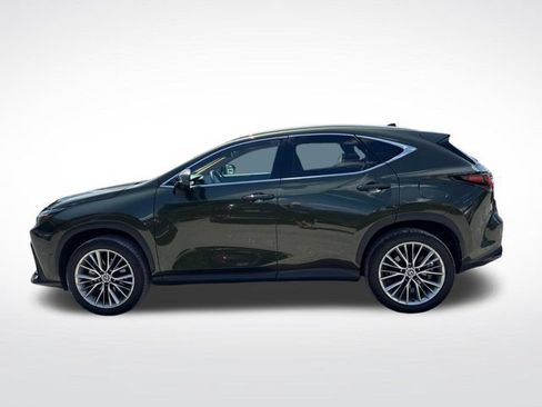 Used 2025 Lexus NX 350 AWD w/ Cold Area Package image 2