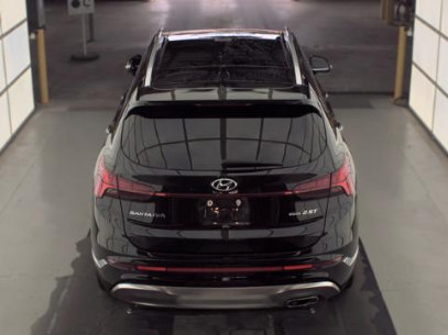 Used 2023 Hyundai Santa Fe Calligraphy AWD/4WD image 6