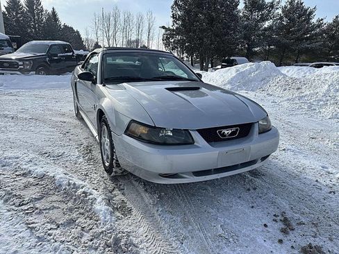 Used 2002 Ford Mustang Deluxe Convertible image 7