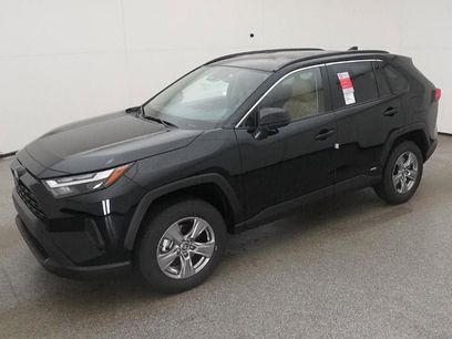New 2025 Toyota RAV4 LE