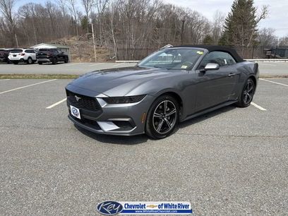 Used 2025 Ford Mustang Premium