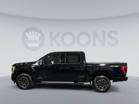 Used 2023 Ford F150 XLT w/ Equipment Group 302A High AWD/4WD image 2