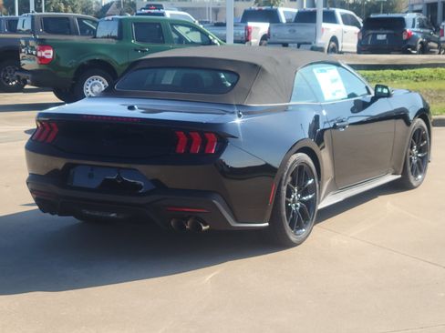 New 2026 Ford Mustang Premium w/ Mustang Nite Pony Package image 5