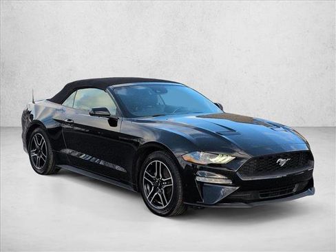 Used 2022 Ford Mustang Premium image 3