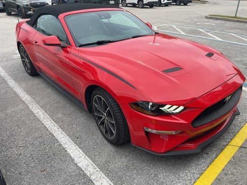 Used 2019 Ford Mustang Premium w/ Equipment Group 201A image 2