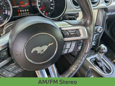 Used 2019 Ford Mustang GT w/ Equipment Group 301A RWD image 14