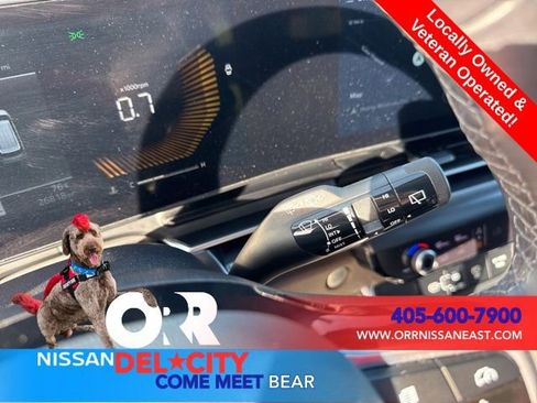 Used 2025 Kia Carnival image 21