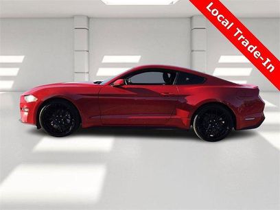 Used 2019 Ford Mustang Coupe w/ Equipment Group 101A