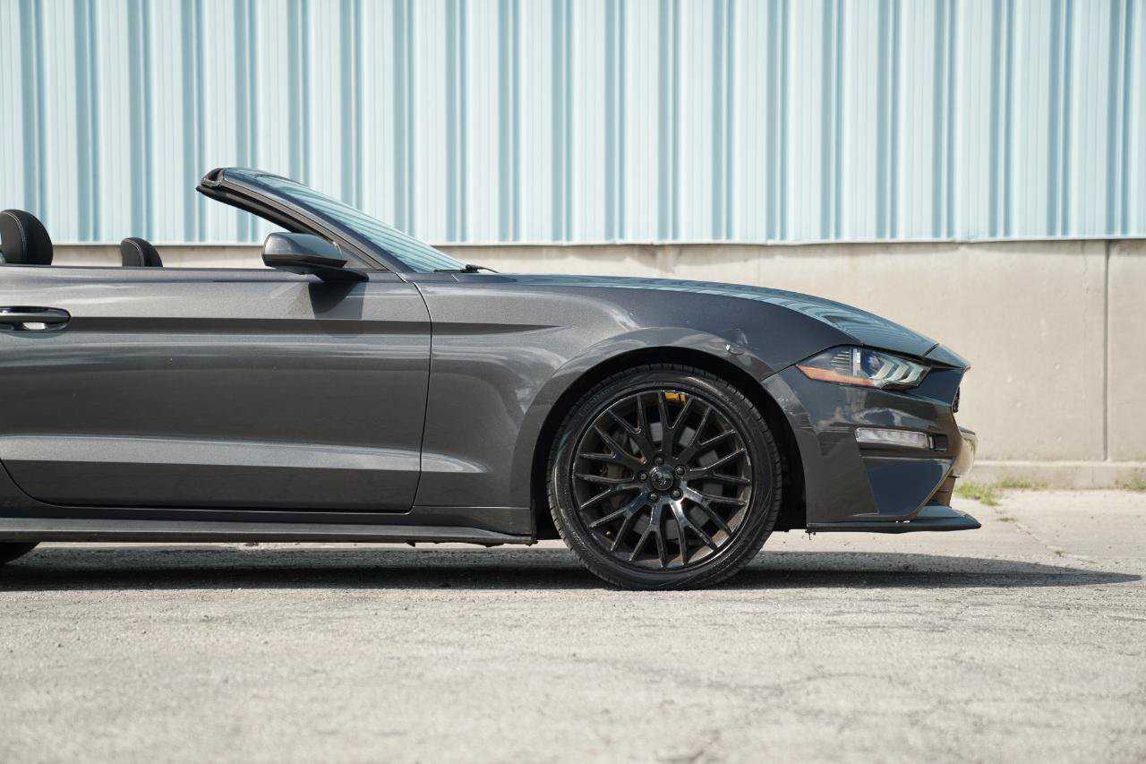 Used 2018 Ford Mustang Convertible w/ Ecoboost Performance Package RWD image 8